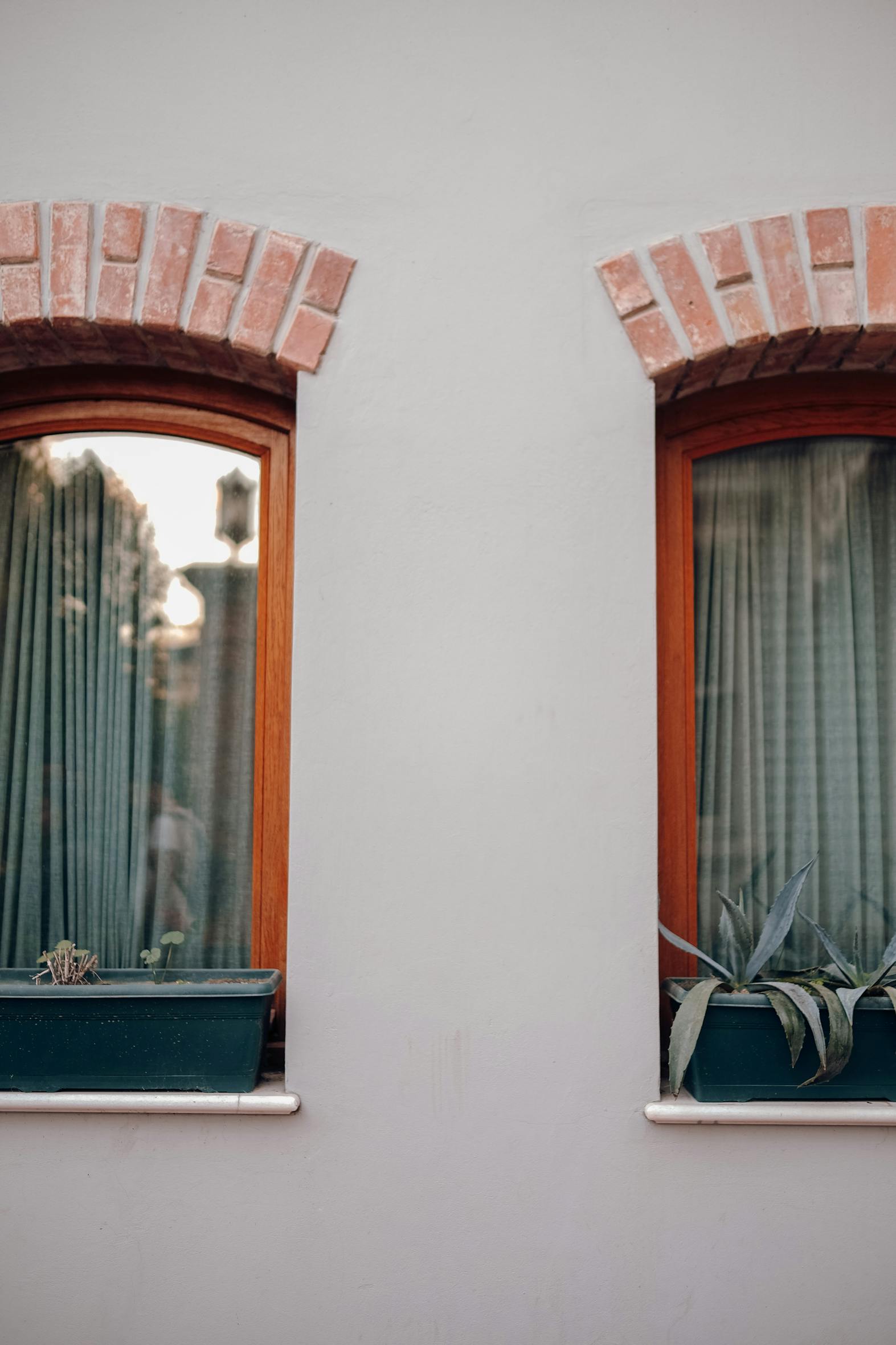 Two rustic arched windows with brick frames and potted plants on a concrete wall.